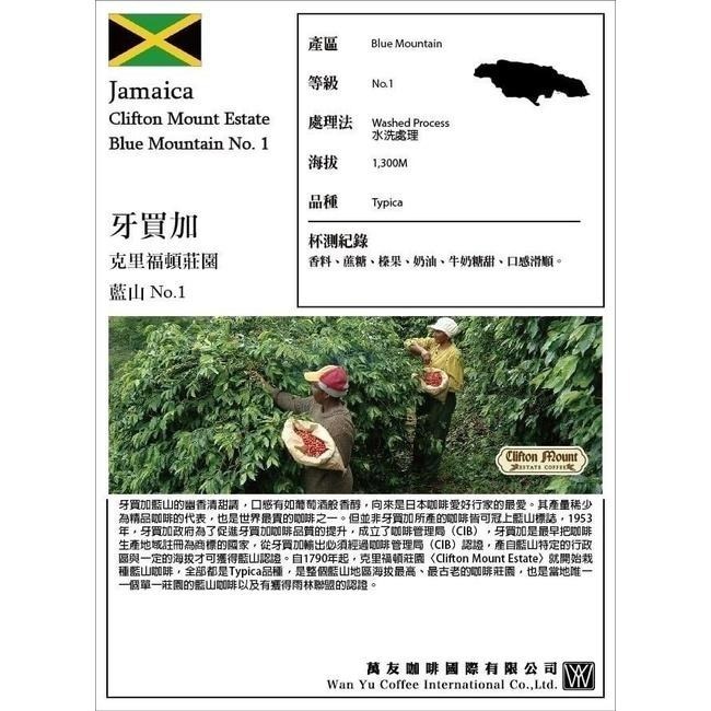 生豆 ／熟豆 牙買加 克里福頓莊園 藍山 No.1 水洗《咖啡生豆工廠×尋豆~只為飄香台灣》生咖啡豆-細節圖9
