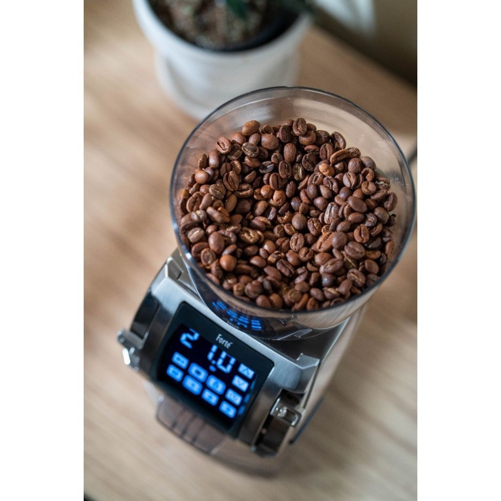 2024 BARATZA【送~風壓漏斗】Forte AP/BG 公司貨 單品義式定時定量咖啡電動磨豆機 小型商業用研磨機-細節圖9