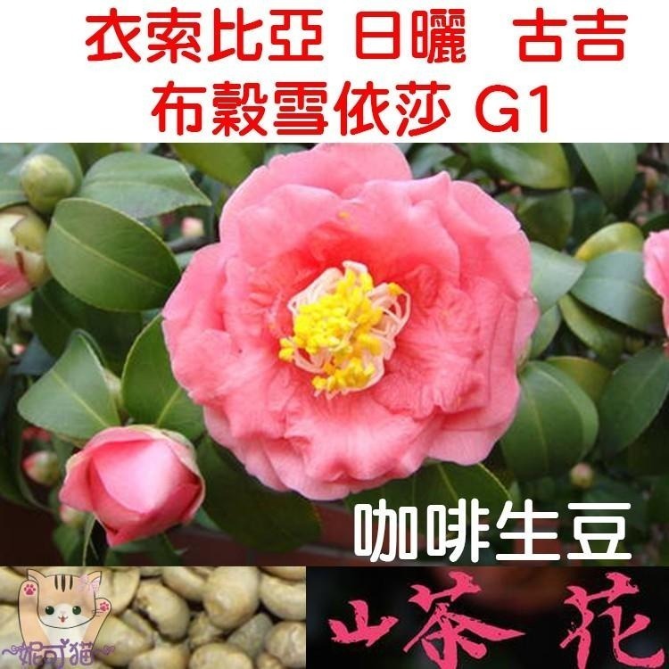 花魁 衣索比亞 古吉 布穀阿貝兒 G1 日曬／山茶花 布穀雪依莎《咖啡生豆×尋豆~只為飄香台灣》咖啡豆 精品豆-細節圖2