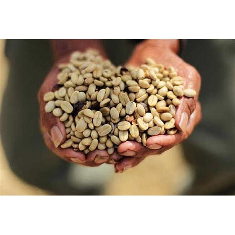 1kg生豆 東帝汶 阿拉比卡 - 世界咖啡生豆《咖啡生豆工廠×尋豆~只為飄香台灣》咖啡生豆 咖啡豆 生咖啡豆-細節圖2