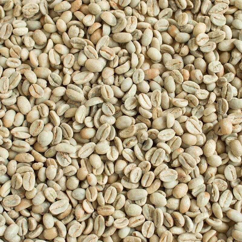 1kg生豆 東帝汶 阿拉比卡 - 世界咖啡生豆《咖啡生豆工廠×尋豆~只為飄香台灣》咖啡生豆 咖啡豆 生咖啡豆-細節圖8