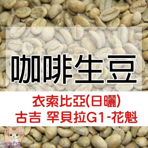 1kg生豆花魁/衣索比亞 日曬 古吉 布穀阿貝兒- 世界咖啡生豆《咖啡生豆工廠×尋豆~只為飄香台灣》咖啡生豆 咖啡豆