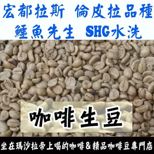 1kg生豆 宏都拉斯 鱷魚先生 倫皮拉品種 SHG 水洗 - 世界咖啡生豆《咖啡生豆工廠》咖啡生豆 咖啡豆 鱷魚家族