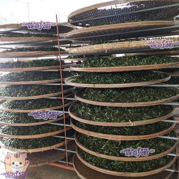 113年【得獎】嚴選 台東鹿野 紅烏龍 150公克 烏龍茶 茶業改良場 【台東分場研發】頭等獎 麒麟堂 yyy 台東縣-細節圖4