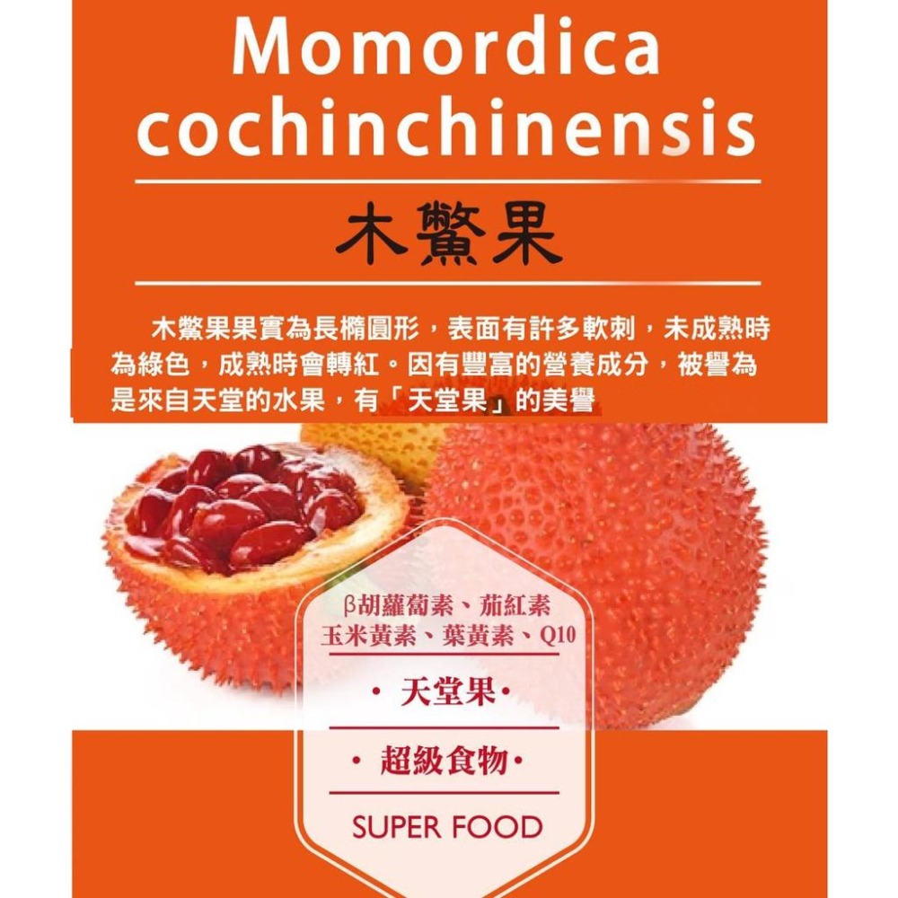 木鱉果粉膠囊30粒/盒 台灣製造 木鱉果粉膠囊 木鱉果  國際品質雙驗證HACCP/ISO2200 現貨 大漢生技-細節圖8