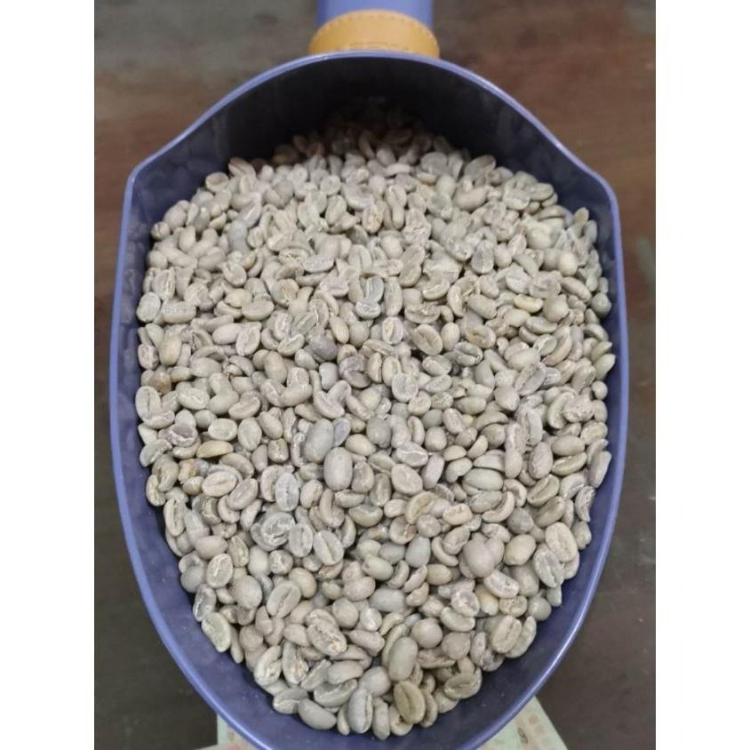 衣索比亞 耶加雪夫 果丁丁G1 G2／伊迪朵小農／西阿爾希區 南西寶村 日曬 - 世界咖啡生豆 咖啡生豆 精品豆-細節圖2