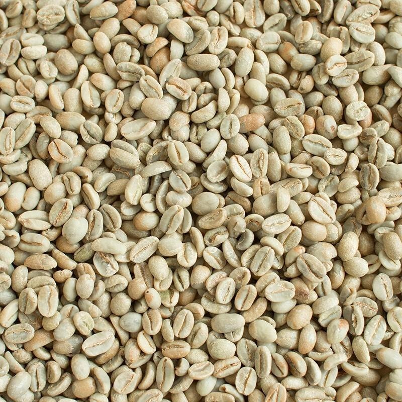 衣索比亞 耶加雪夫 果丁丁G1 G2／伊迪朵小農／西阿爾希區 南西寶村 日曬 - 世界咖啡生豆 咖啡生豆 精品豆-細節圖9