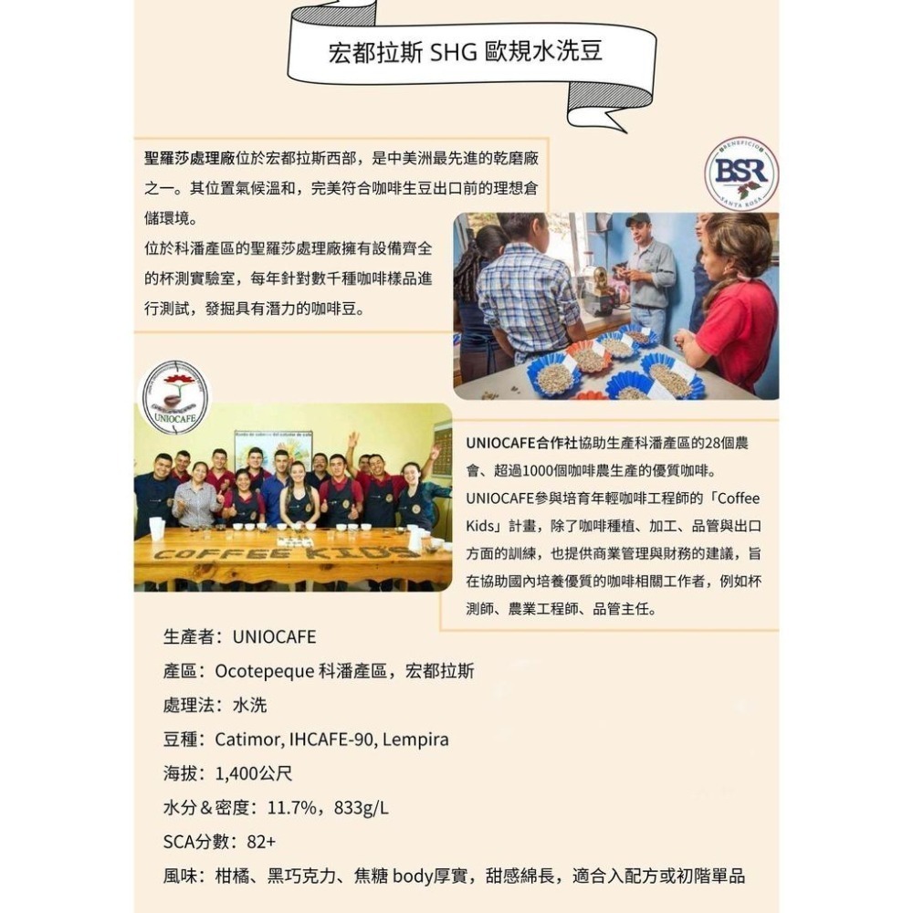 宏都拉斯 聖伊莎貝爾莊園／西部小農／聖羅莎 帕拉伊內瑪／亞馬 希望之歌 小農藝妓-世界咖啡生豆 咖啡豆 精品豆 生豆-細節圖2