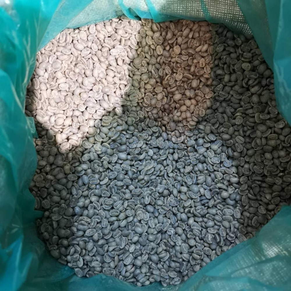 宏都拉斯 聖伊莎貝爾莊園／西部小農／聖羅莎 帕拉伊內瑪／亞馬 希望之歌 小農藝妓-世界咖啡生豆 咖啡豆 精品豆 生豆-細節圖9