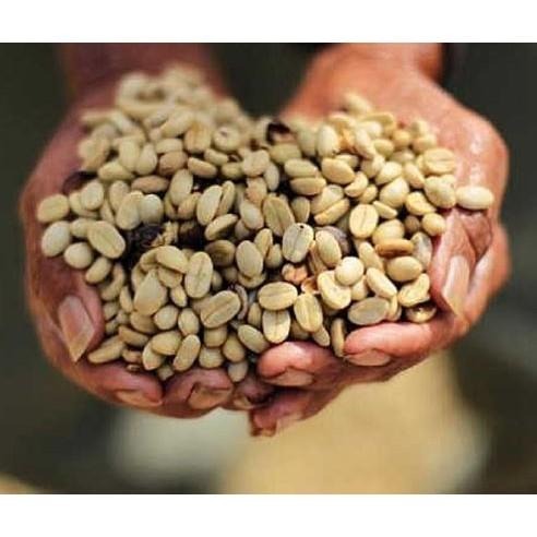 1kg生豆 巴拿馬 花蝴蝶 70% 藝伎 水洗 - 新產季 咖啡生豆《咖啡生豆工廠×只為飄香台灣》咖啡豆 精品豆 莊園-細節圖4