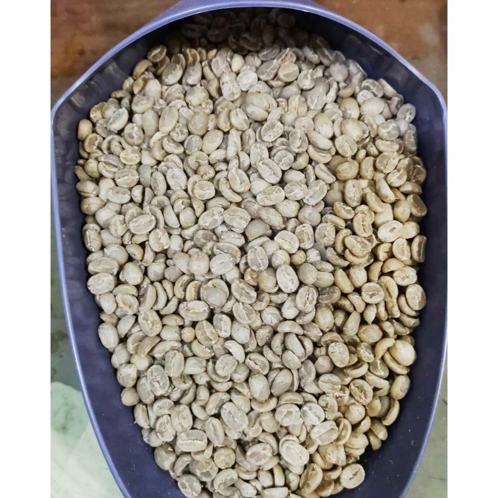 1kg生豆 馬拉威藝妓 - 世界咖啡生豆《咖啡生豆工廠×尋豆~只為飄香台灣》咖啡生豆 咖啡豆 精品咖啡豆-細節圖8