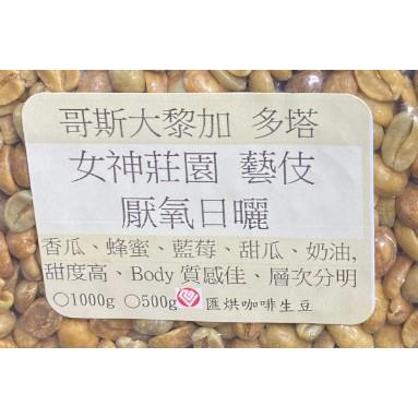 1kg生豆 哥斯大黎加 多塔 女神莊園 藝伎 厭氧日曬《咖啡生豆工廠×尋豆~只為飄香台灣》生咖啡豆 生豆 精品豆-細節圖4