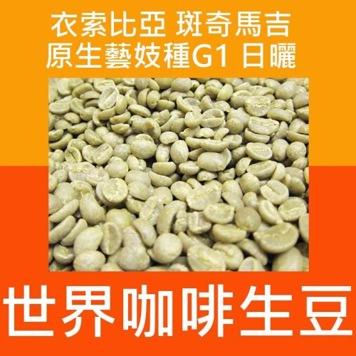 1kg生豆 衣索比亞 斑奇馬吉 原生藝妓種G1 日曬 - 世界咖啡生豆×尋豆 咖啡豆 精品豆 咖啡生豆 生豆 咖啡豆
