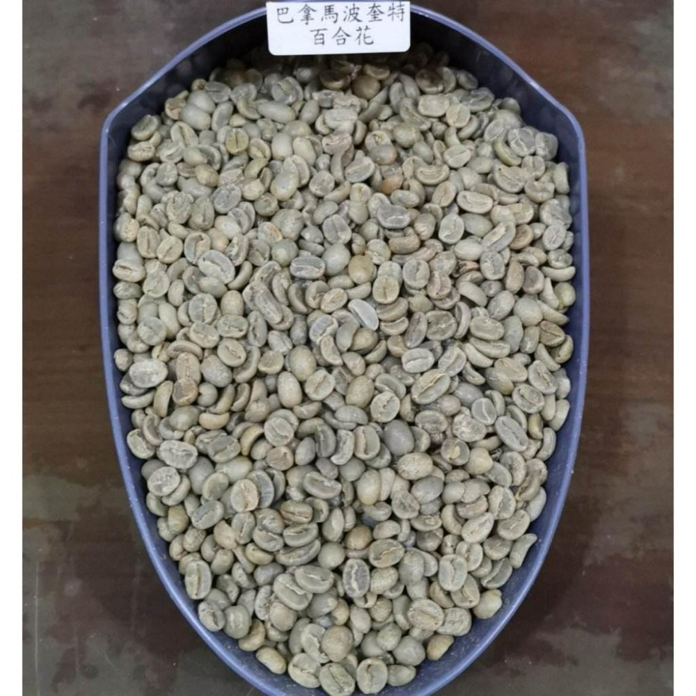 1kg生豆 巴拿馬 波奎特 百合花 - 世界咖啡生豆 新產季 莊園豆 咖啡生豆 咖啡豆 精品豆 水洗／日曬-細節圖3