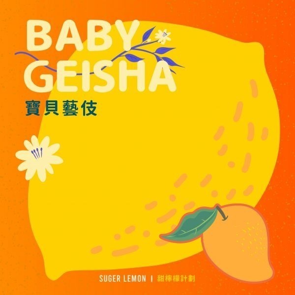 新產季-生豆 衣索比亞 吉瑪莉姆 果美村 寶貝藝伎 日曬 水洗 G1|甜檸檬計畫-世界咖啡生豆 咖啡豆 精品豆莊園豆-細節圖6