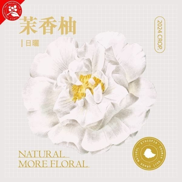 生豆 衣索比亞 西達摩 花貝果娜／茉香柚 可如蜜 日曬 水洗G1|紅圈計畫 - 世界咖啡生豆 生豆咖啡-細節圖10