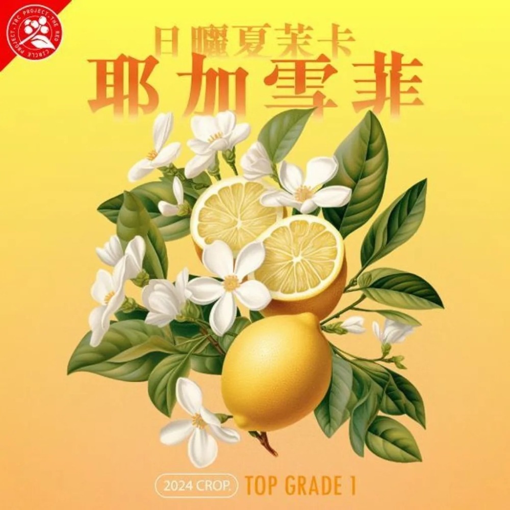 年生豆 衣索比亞 耶加雪菲 夏茉卡 頂級 日曬G1／水洗 G2|紅圈計畫-世界咖啡生豆 咖啡豆 精品豆 莊園豆-細節圖6