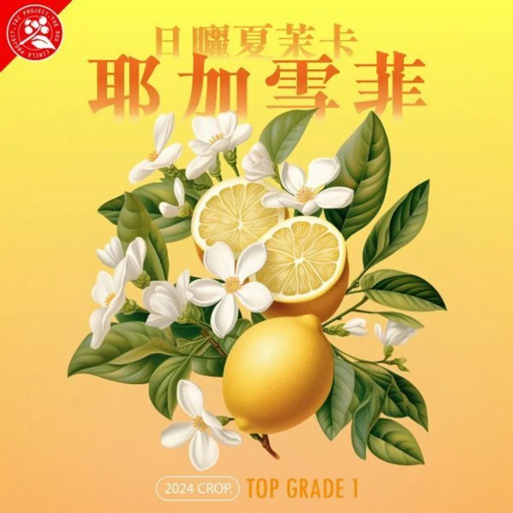 年生豆 衣索比亞 耶加雪菲 夏茉卡 頂級 日曬G1／水洗 G2|紅圈計畫-世界咖啡生豆 咖啡豆 精品豆 莊園豆-細節圖6