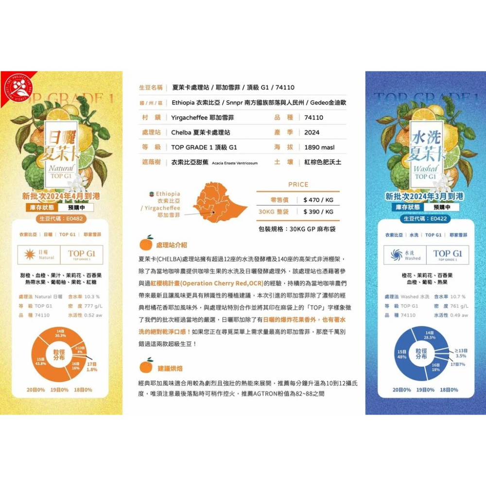 年生豆 衣索比亞 耶加雪菲 夏茉卡 頂級 日曬G1／水洗 G2|紅圈計畫-世界咖啡生豆 咖啡豆 精品豆 莊園豆-細節圖7