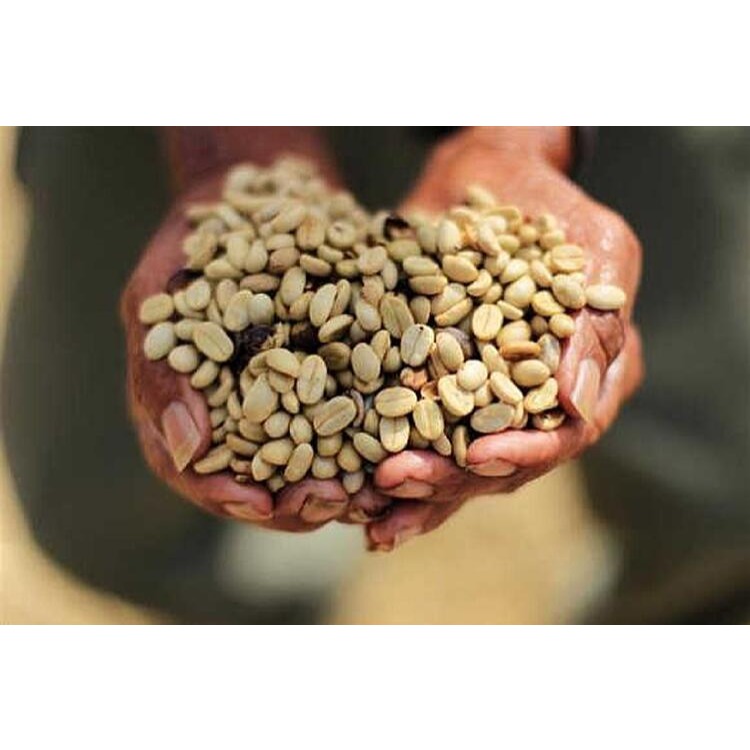1kg生豆 衣索比亞 西達摩 邦貝產區 TOP G2 日曬 - 世界咖啡生豆 咖啡生豆 商業豆 莊園豆 精品豆 生豆-細節圖4