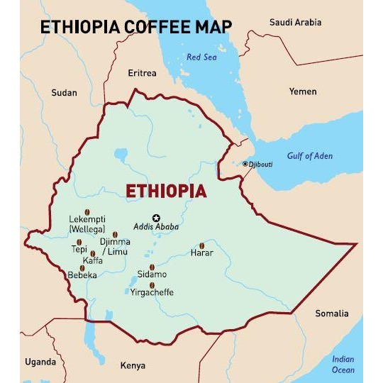 1kg生豆 衣索比亞 西達摩 邦貝產區 TOP G2 日曬 - 世界咖啡生豆 咖啡生豆 商業豆 莊園豆 精品豆 生豆-細節圖6