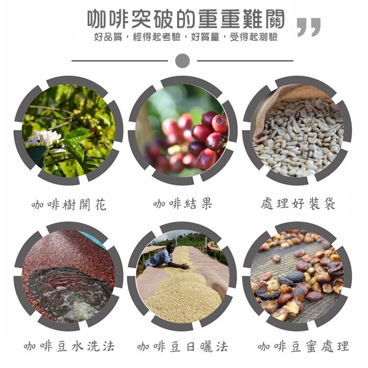 巴拿馬 巴魯火山100%瑰夏/藝伎 日曬 月夜黑 半磅227g熟豆《精品咖啡豆×接單新鮮現烘》新鮮不貴 探索美味 莊園豆-細節圖8
