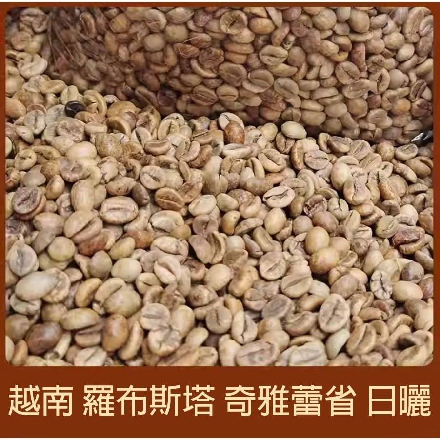 1kg生豆 越南 羅布斯塔 奇雅蕾省 日曬 - 世界咖啡生豆 商業豆 優選商業豆就是道地的羅豆羅味 咖啡生豆 生咖啡豆-細節圖4