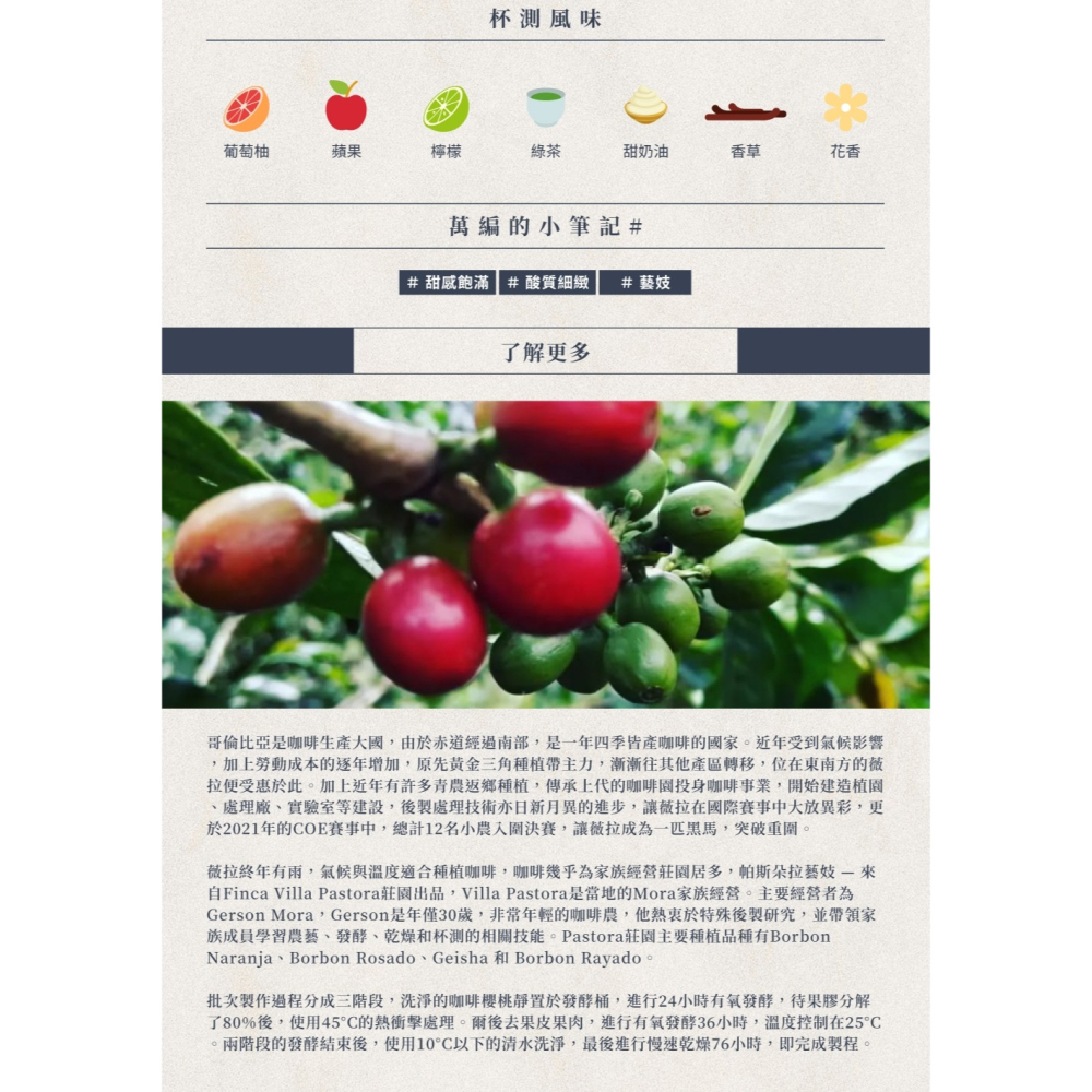 1kg生豆 哥倫比亞 薇拉省 奇洛索種／帕斯朵拉 藝伎 水洗 -世界咖啡生豆《咖啡生豆工廠×尋豆》咖啡生豆 咖啡豆 精品-細節圖2