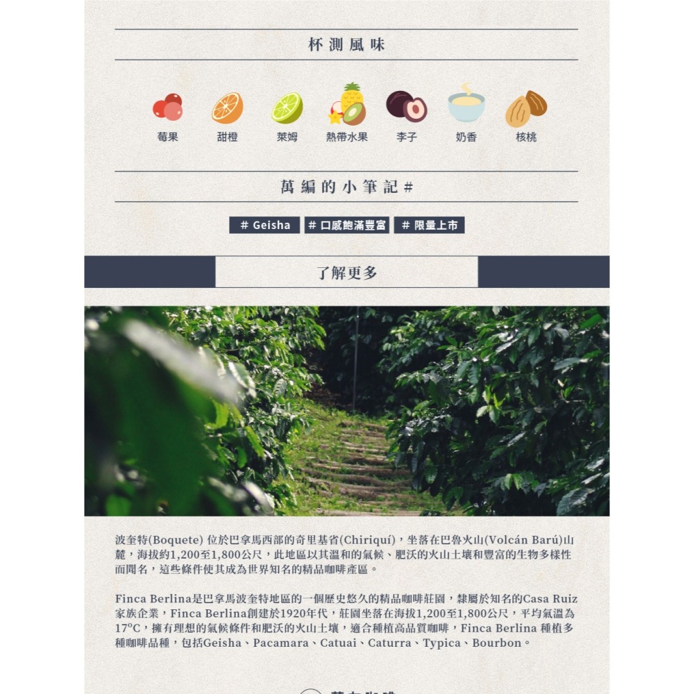 1kg生豆 巴拿馬 波奎特 艾瑪 瑪瑪卡特 藝伎／波琳娜莊園  - 世界咖啡生豆 咖啡生豆 莊園豆 精品豆 藝伎豆 生豆-細節圖3