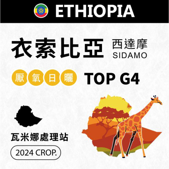 1kg生豆 衣索比亞 西達摩 瓦米娜處理站 厭氧日曬 G4 - 世界咖啡生豆 咖啡生豆 生咖啡 新產季 莊園豆 精品豆-細節圖10