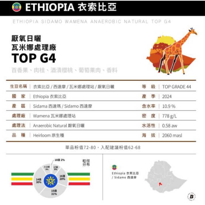 1kg生豆 衣索比亞 西達摩 瓦米娜處理站 厭氧日曬 G4 - 世界咖啡生豆 咖啡生豆 生咖啡 新產季 莊園豆 精品豆-細節圖11