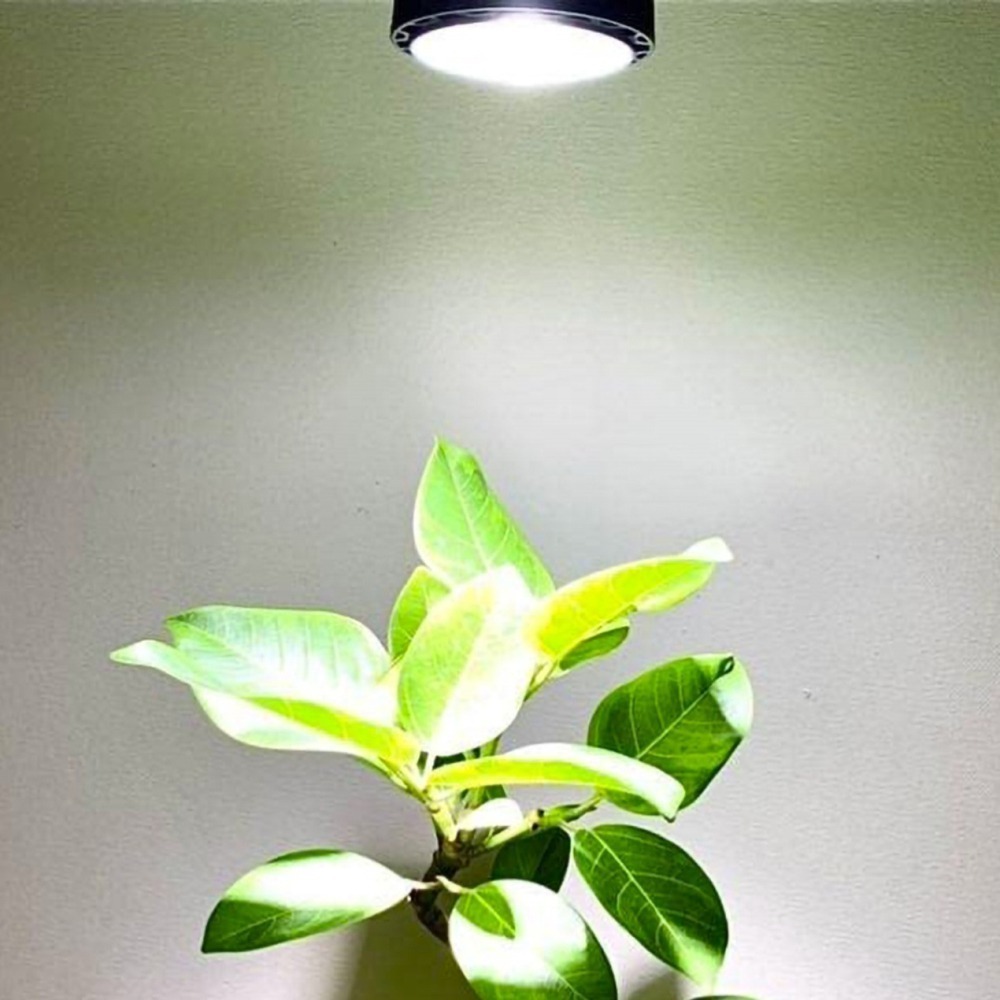 台灣現貨 限時折扣 瑪約LED全光譜植物生長燈 RA98.5 5800K 仿太陽光 室內 雨林植物 E27 鹿角蕨 松柏-細節圖8