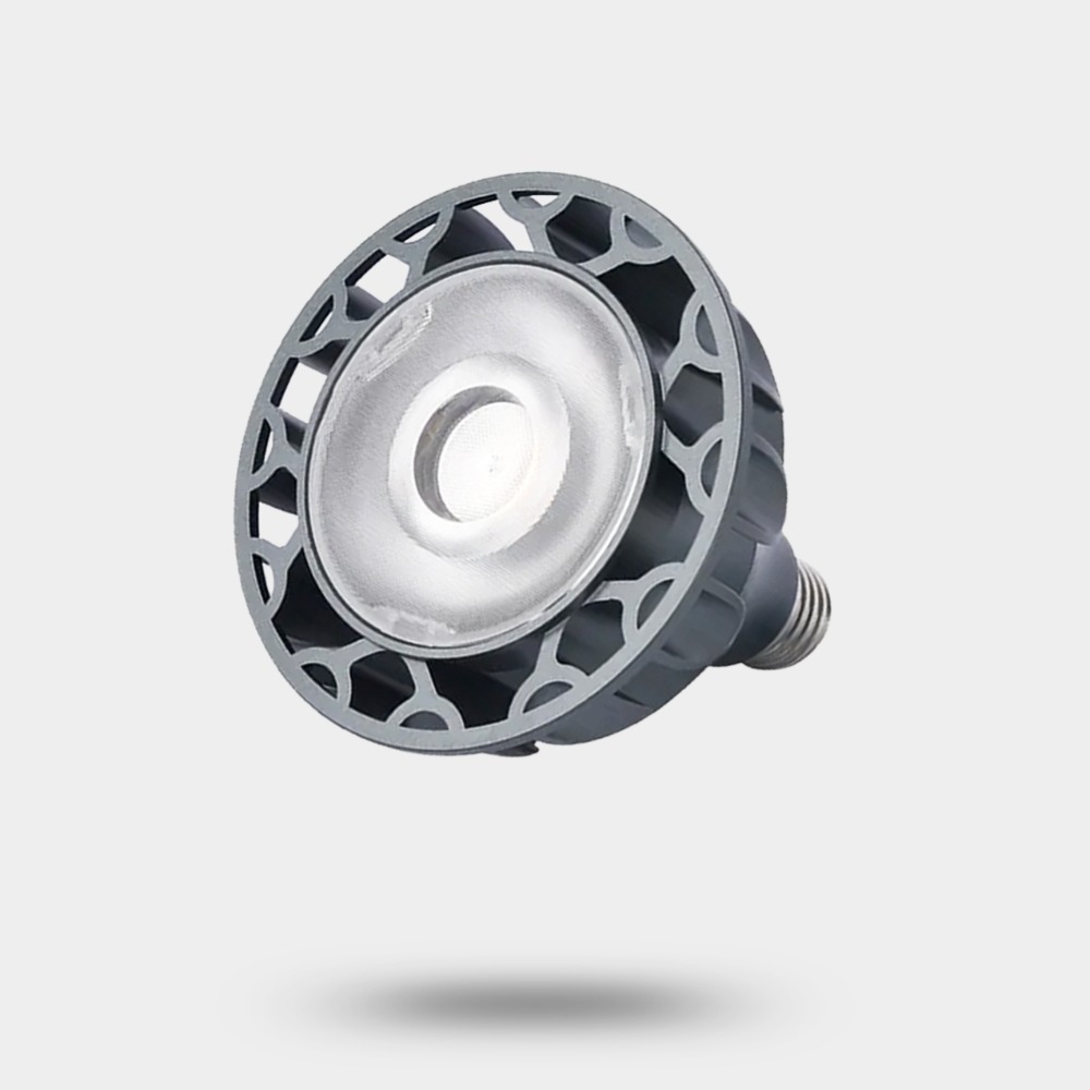 36W 黑色燈泡 (5800K全白光)