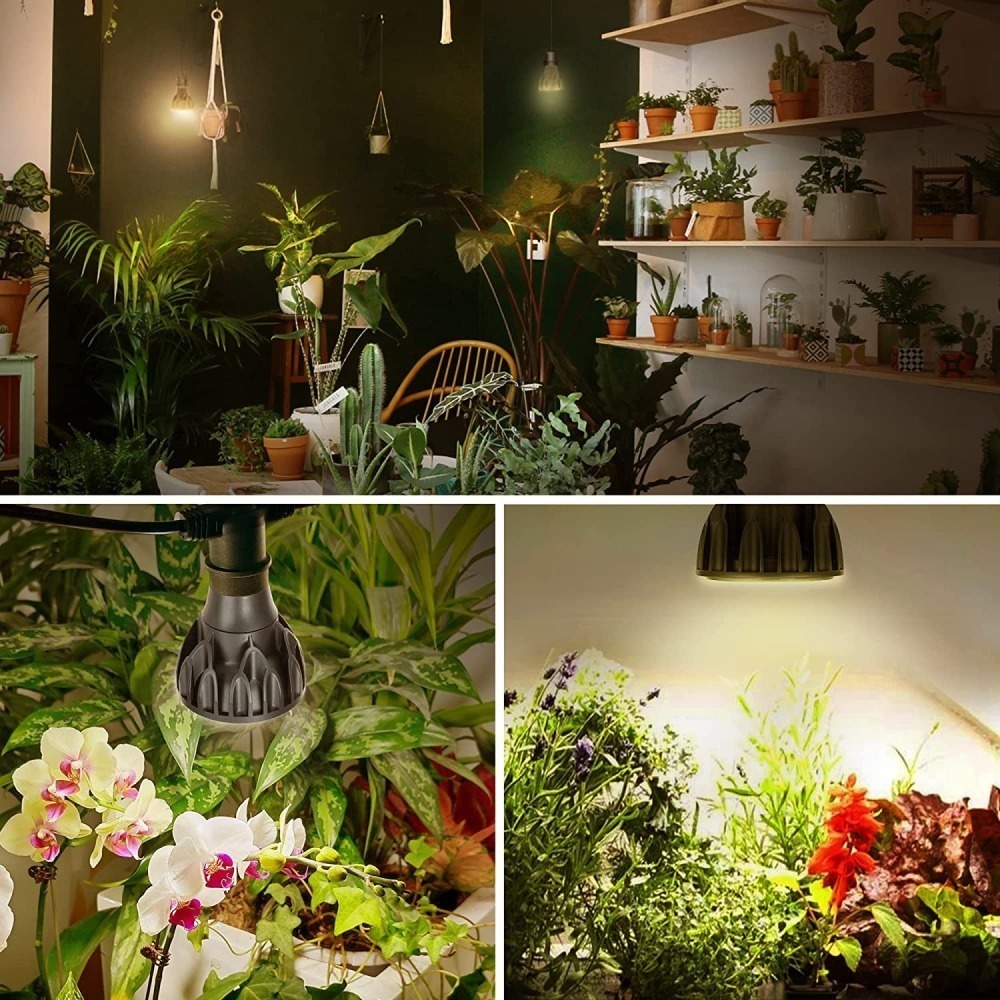 台灣現貨 瑪約LED全光譜植物生長燈 RA98 4000K 仿太陽光 室內 雨林植物 E27 鹿角蕨 松柏-細節圖8