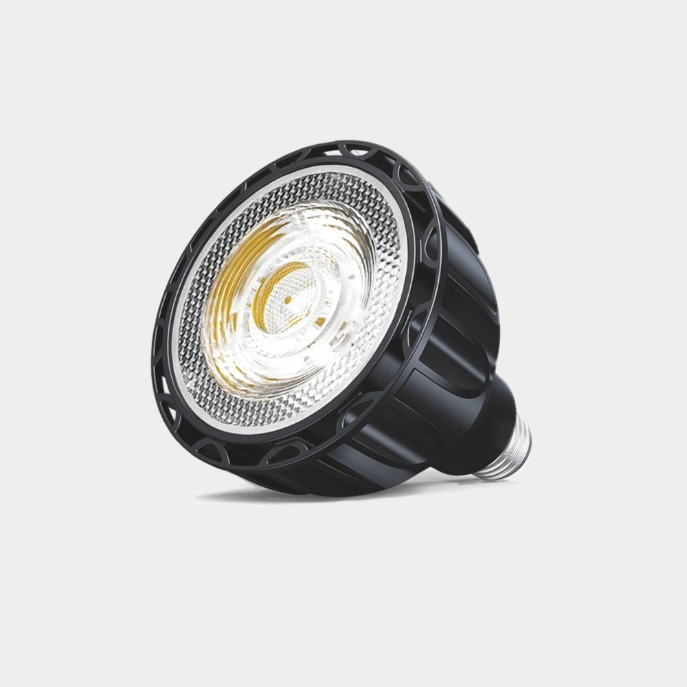 24W多肉黑色燈泡 (2700K暖白光)