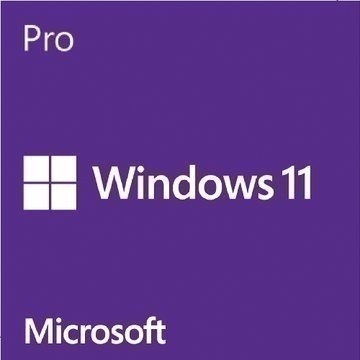 <全新>Windows 10 Pro 中文專業64位元隨機版 有發票 台灣微軟正版-細節圖3