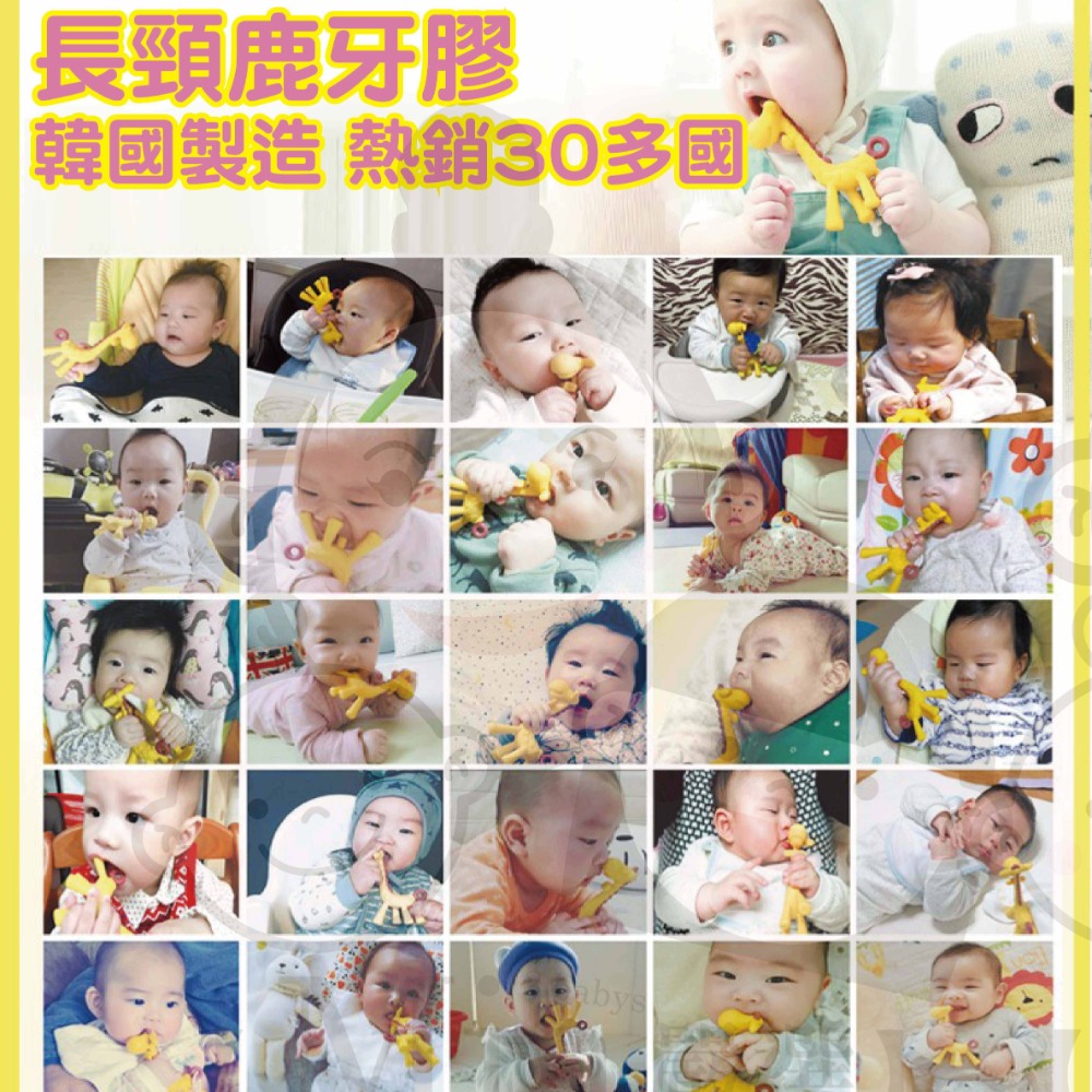 【韓國Ange】長頸鹿洛克馬 固齒器 動物固齒器 磨牙固齒器 磨牙玩具 乳牙刷 安撫玩具 寶寶玩具 固齒玩具 寶寶固齒器-細節圖6