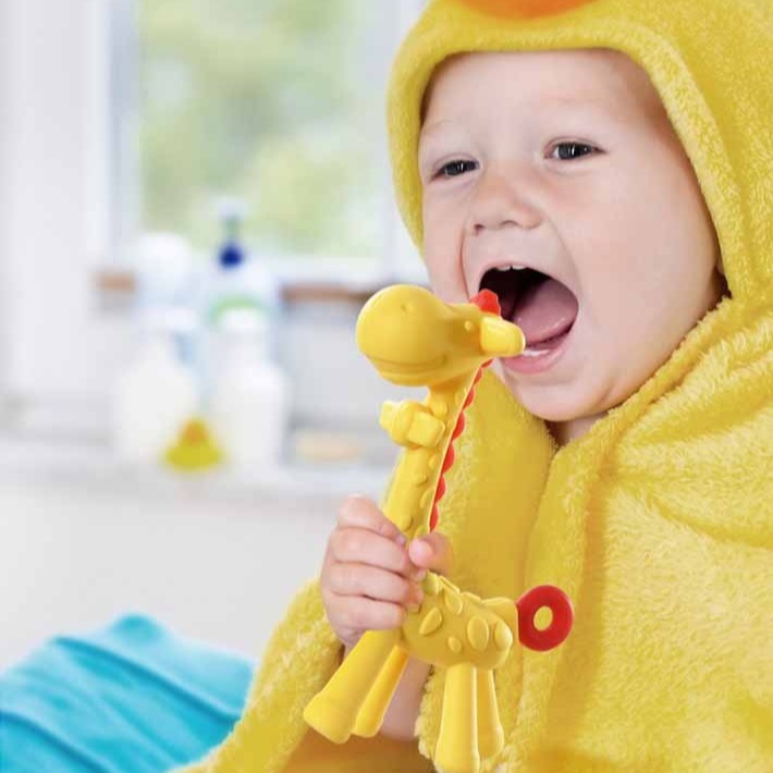 【韓國Ange】長頸鹿洛克馬 固齒器 動物固齒器 磨牙固齒器 磨牙玩具 乳牙刷 安撫玩具 寶寶玩具 固齒玩具 寶寶固齒器-細節圖11