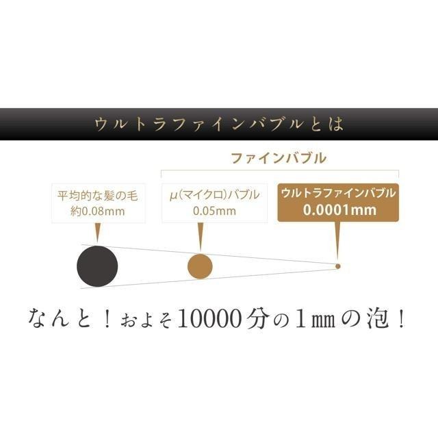 【日本代購】Bollina 超細噴霧 節水 花灑 蓮蓬頭 TK-7007-SL-細節圖2