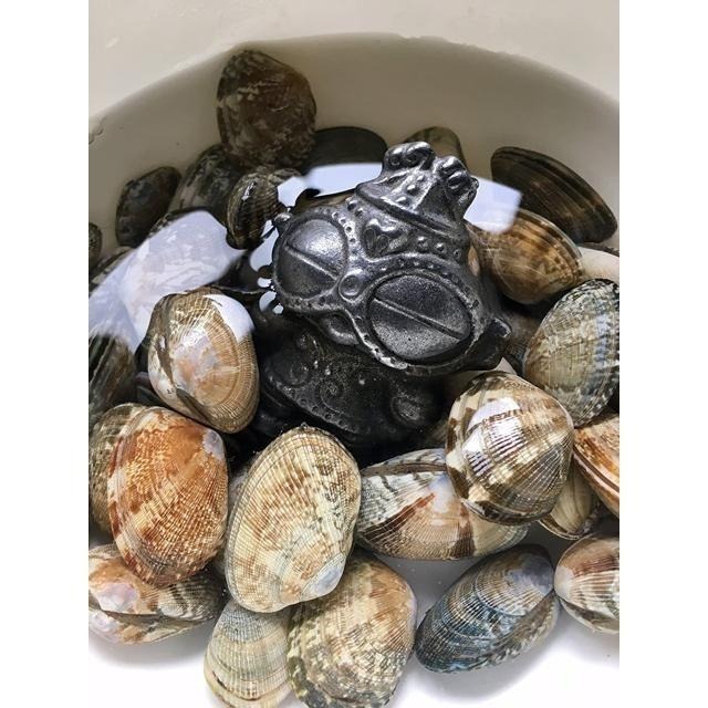 【日本代購】壱鋳堂 南部鐵偶 補充鐵份 NANBU TETSUGU-細節圖7