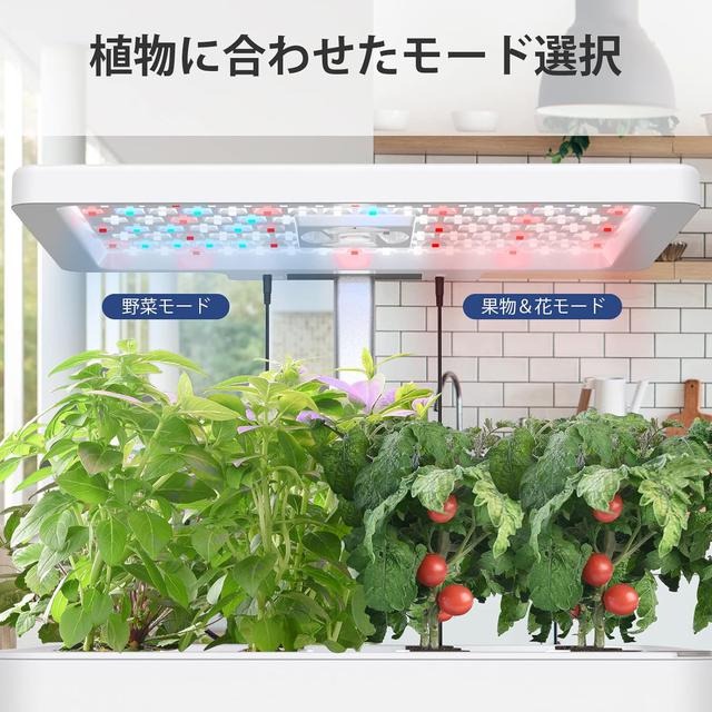 【日本代購】iDOO 水耕植物培育機 蔬菜 水果 12株 白色-細節圖2