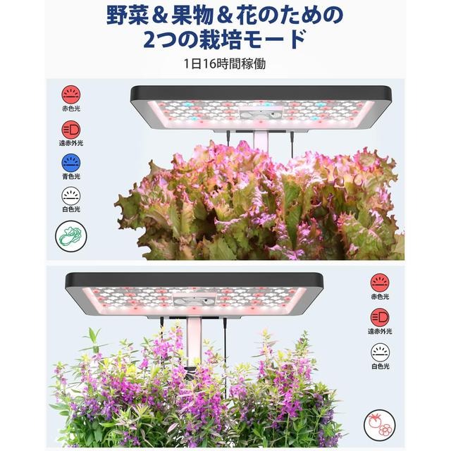 【日本代購】iDOO 水耕植物培育機 蔬菜 水果 12株 黑色-細節圖4