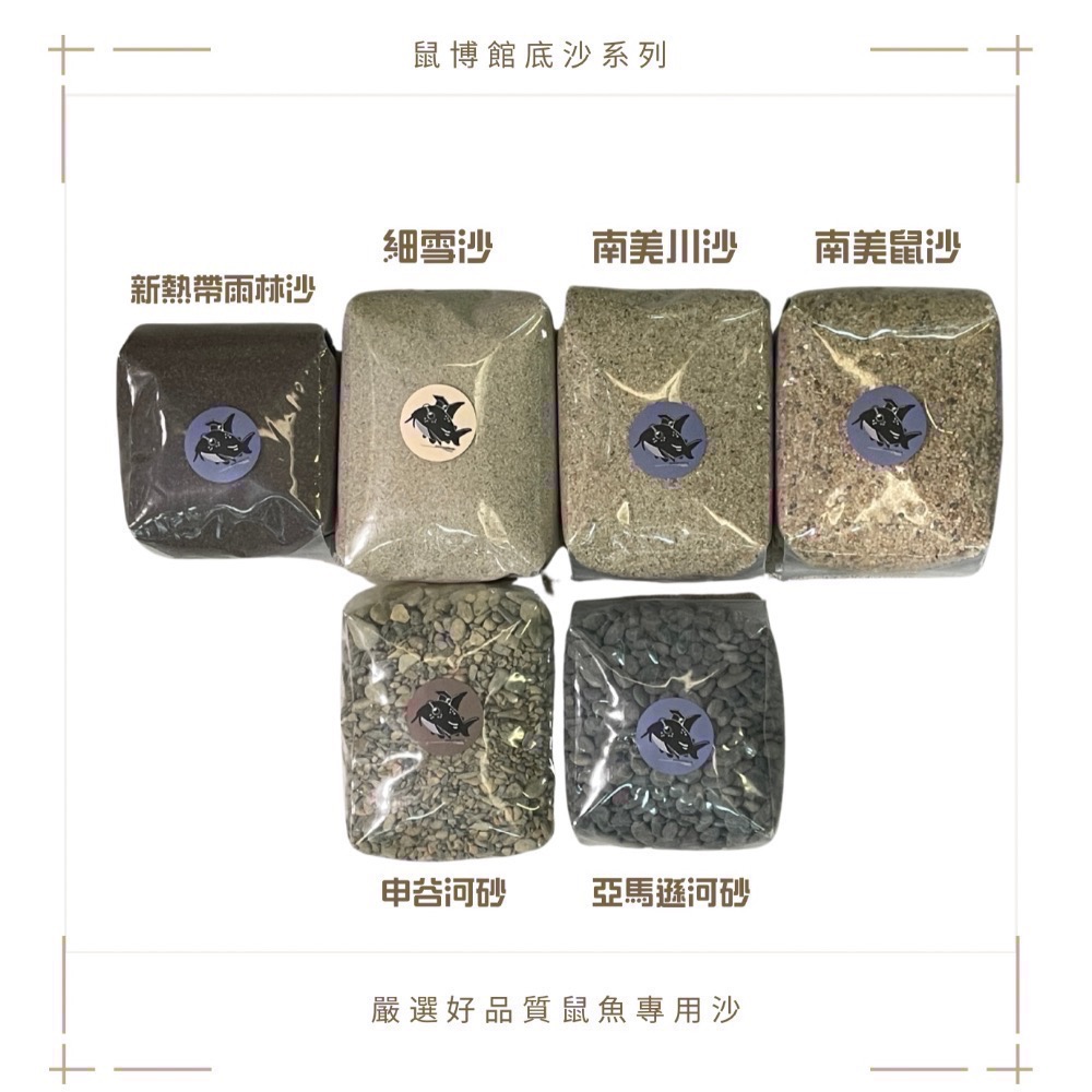 鼠博館-底沙-淺色沙-新細雪沙/南美川沙/南美鼠沙-細節圖5