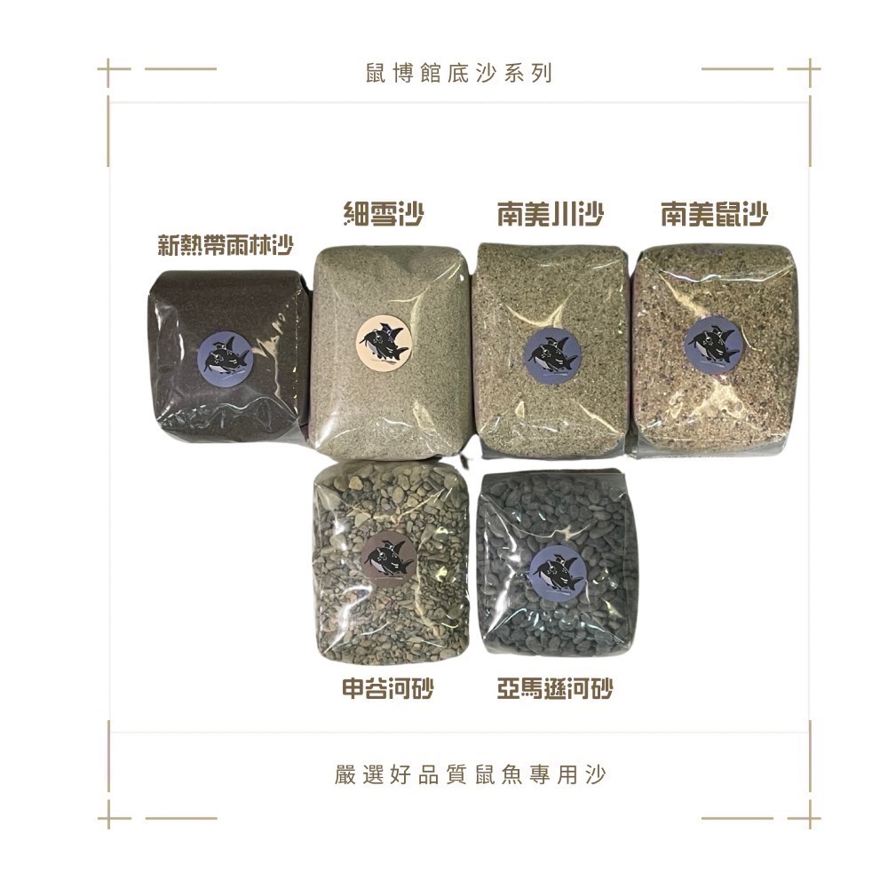 鼠博館-底沙-亞馬遜河砂1.2分/2分/申古河砂小/申谷河砂中-細節圖5