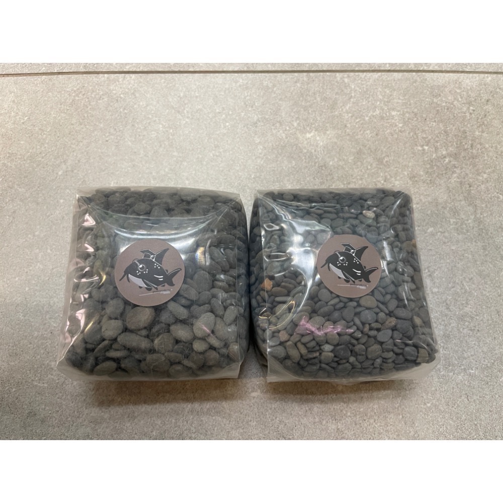 鼠博館-底沙-亞馬遜河砂1.2分/2分/申古河砂小/申谷河砂中-細節圖8