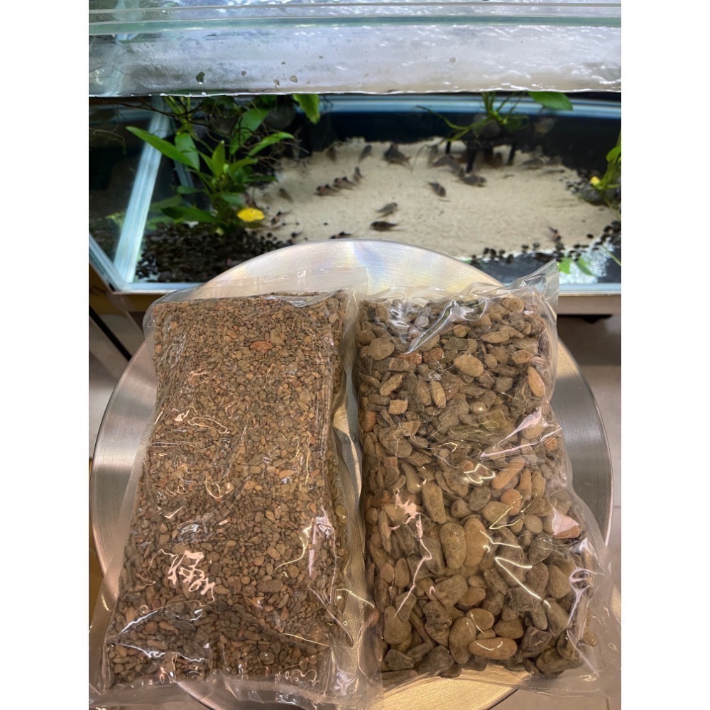 鼠博館-底沙-亞馬遜河砂1.2分/2分/申古河砂小/申谷河砂中-細節圖9