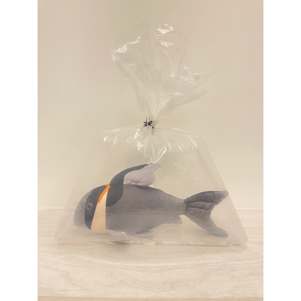 鼠博館-周邊-鼠魚娃娃/黑箭紅頭大娃娃/斑馬鼠大娃娃-規格圖2