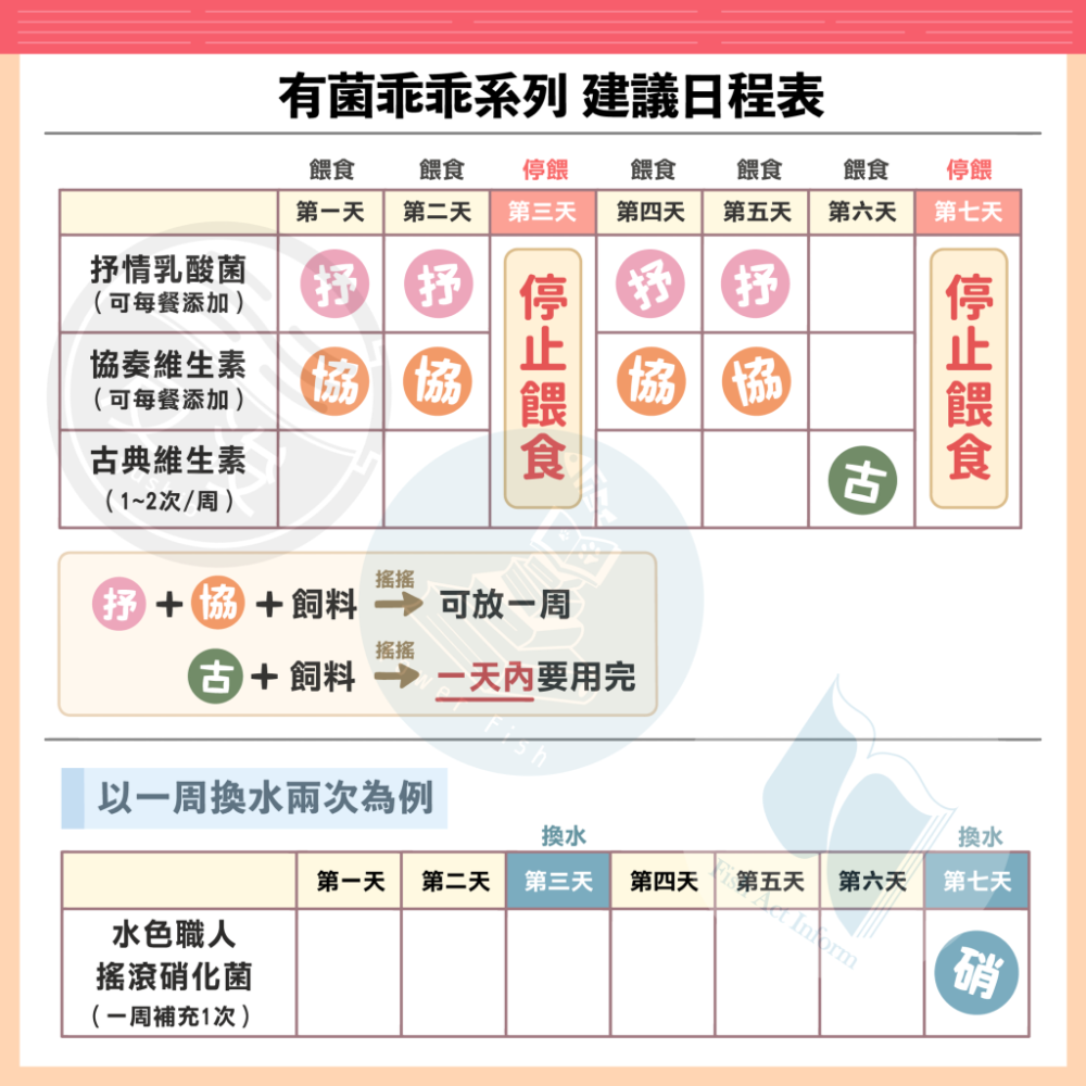 鼠博館-用品-友浚 有菌乖乖 搖滾硝化菌20g/80g-細節圖3