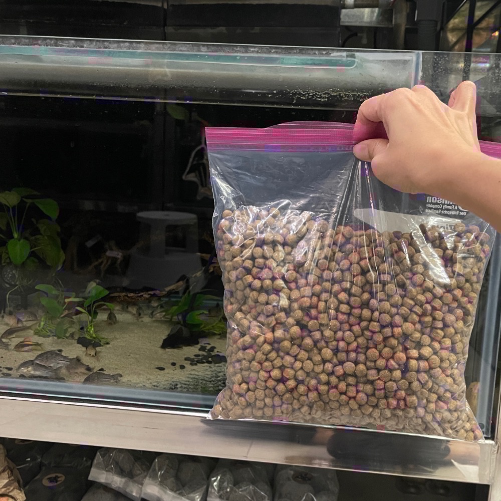 鼠博館-白蟲｜蠕蟲｜菜瓜布飼養組/飼料-規格圖2