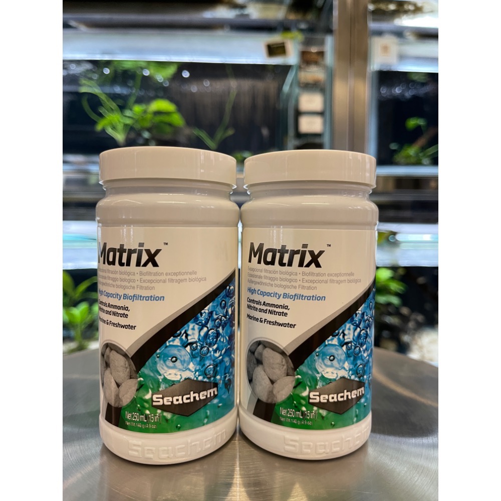 鼠博館-用品-西肯Matrix 多孔隙生物石（粗）特選培菌浮石-細節圖5